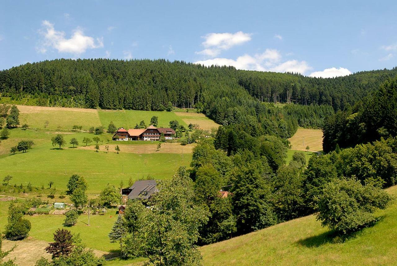Apartamento Riehle Hof Zell am Harmersbach Exterior foto